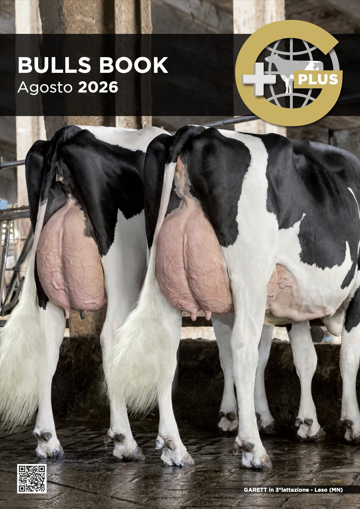 Catalogo tori GPLUS Agosto 2026